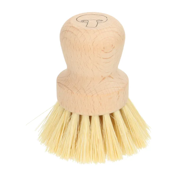 Brosse à champignons, bois de hêtre et fibres tampico