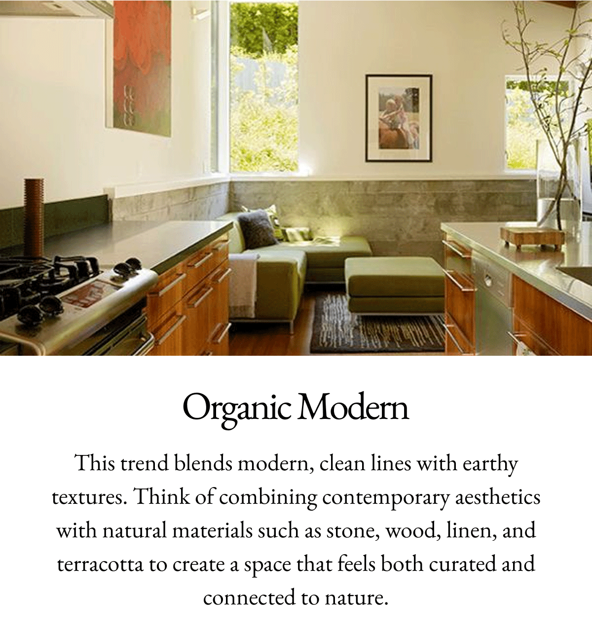 Organic Modern