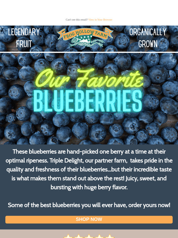Our Favorite Organic Blueberries! 💙