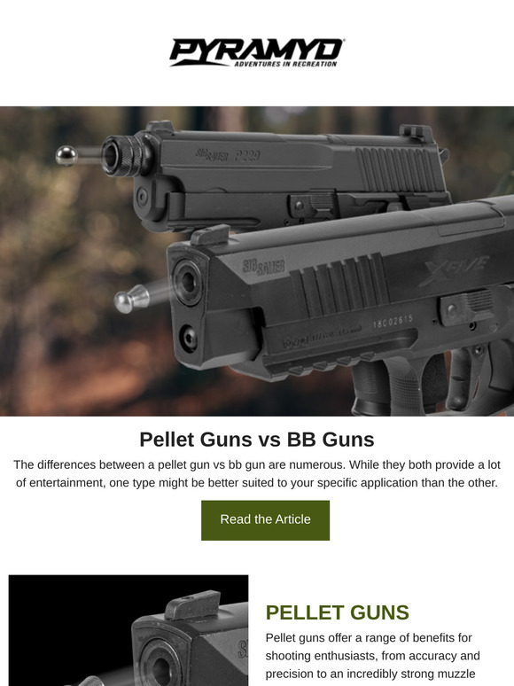 Pellet Guns vs BB Guns