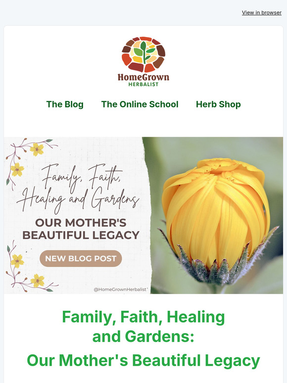 A Mother's Legacy - New Blog Post 💕