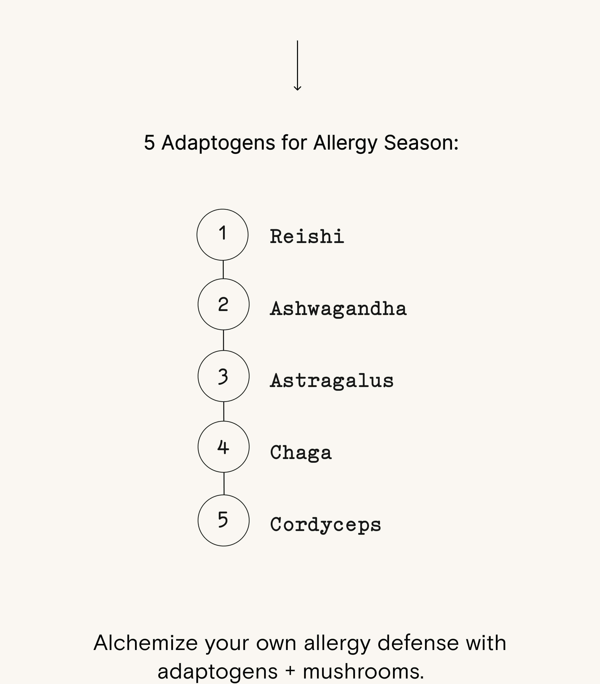 5 Adaptogens for Allergy Season