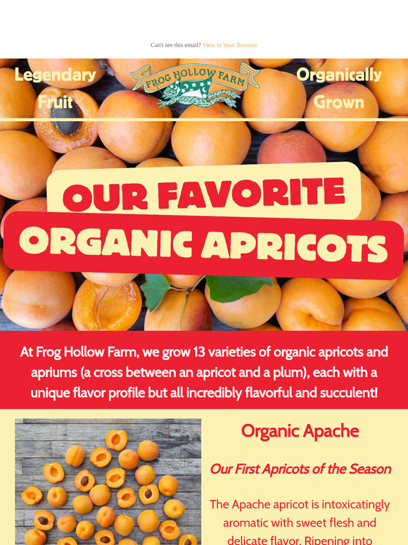 Legendary Apricots Await! 😍