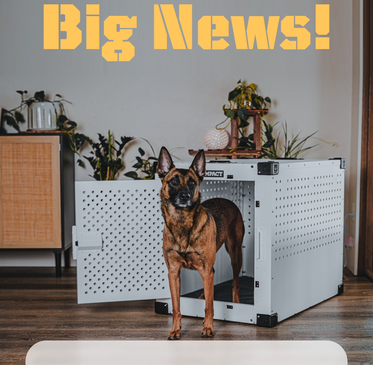 BIG NEWS