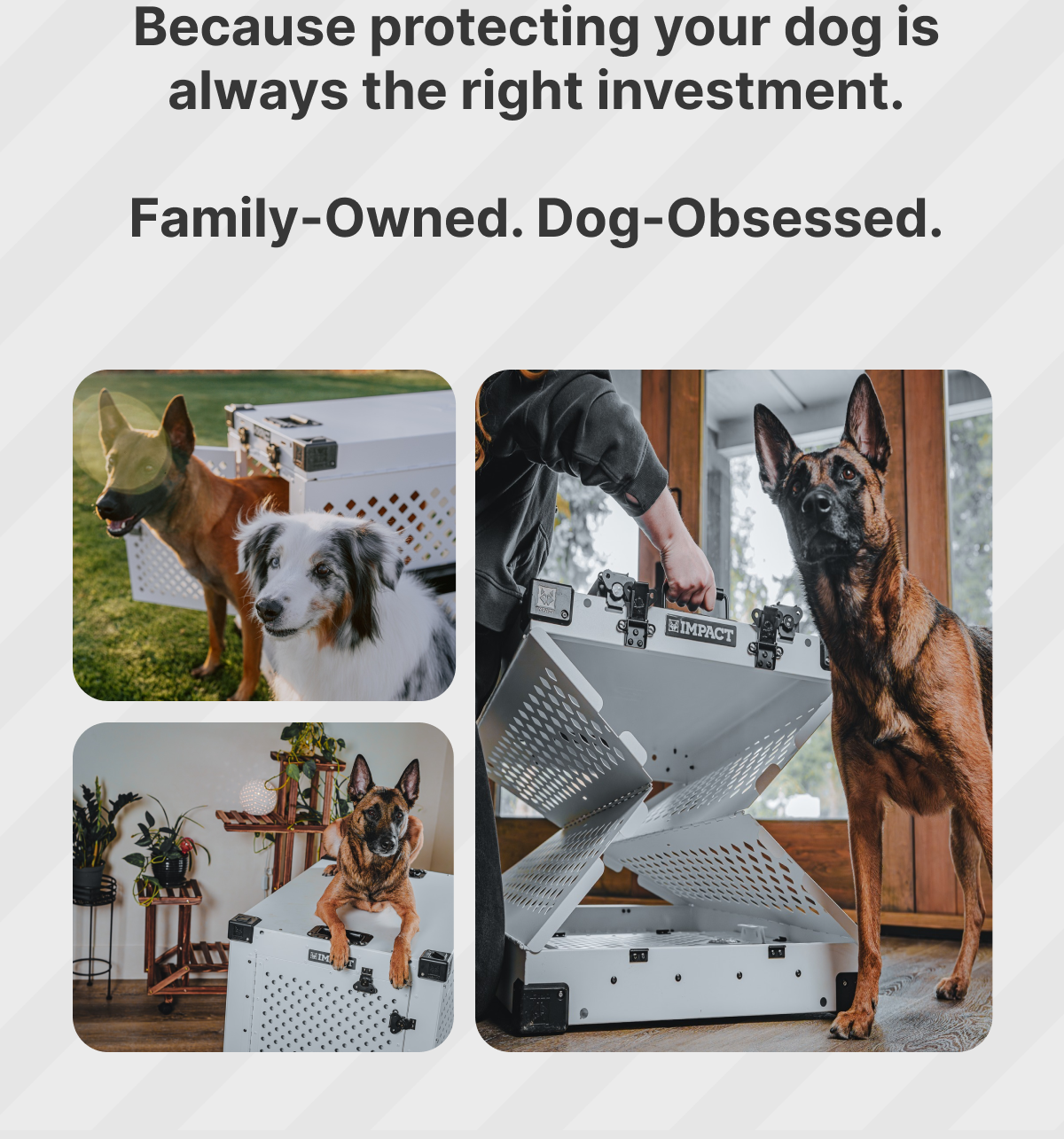 Because protecting your dog is always the right investment,