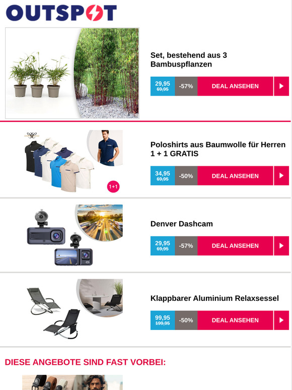 Set, bestehend aus 3 Bambuspflanzen
