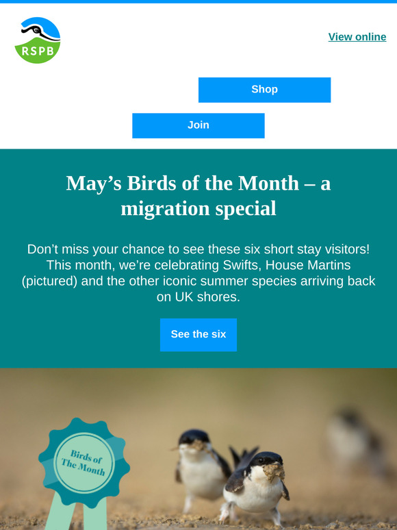 Celebrate World Migratory Bird Day
