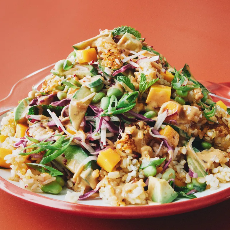 A pile of crispy rice, diced mango, shredded purple cabbage, julienned radishes, sliced Persian cucumbers, sliced avocado, scallions, mint leaves, and edamame in a tahini chili crisp dressing.