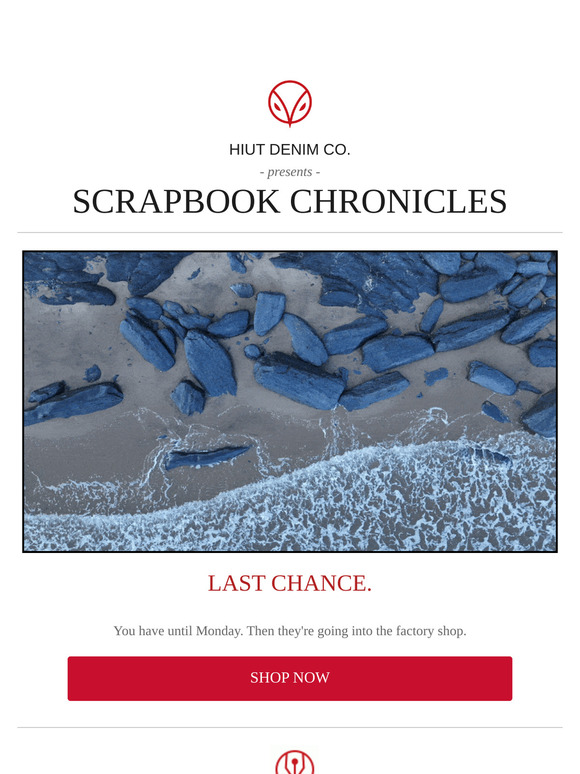 Scrapbook Chronicles No.449