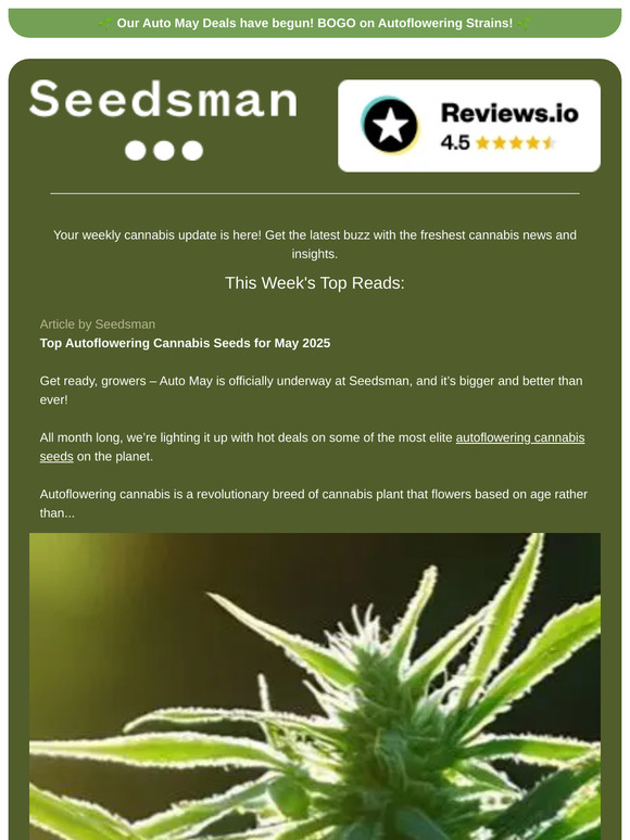 📬 Weekly Newsletter 📬