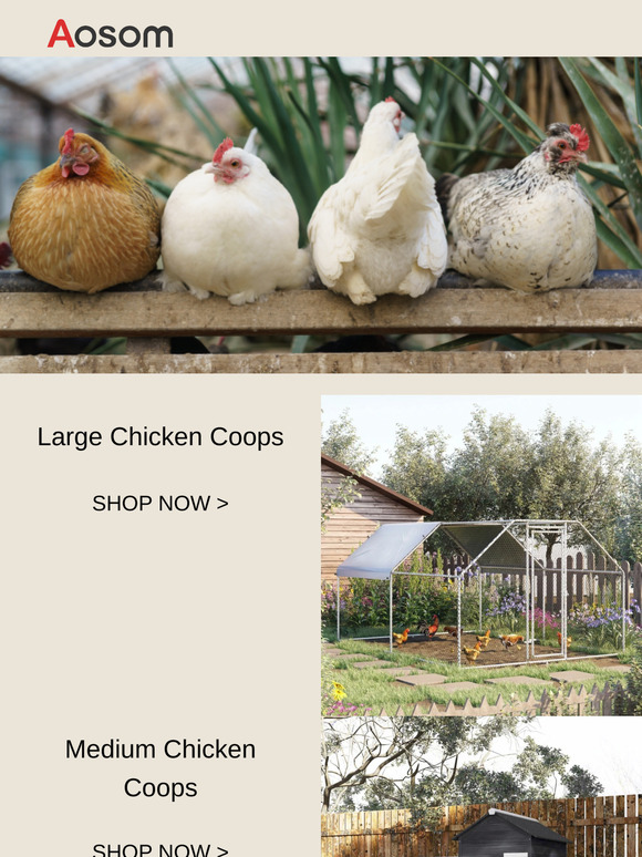 Give your chickens a safe and comfortable place to call home.