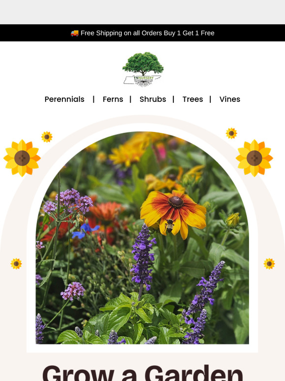 Plant These, Attract Pollinators—Simple.