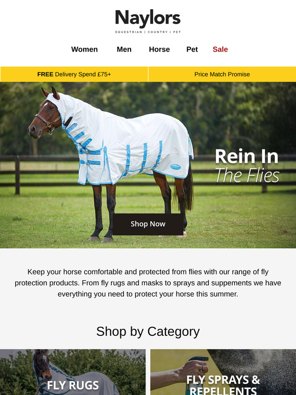 Fly Protection | Summer Essentials