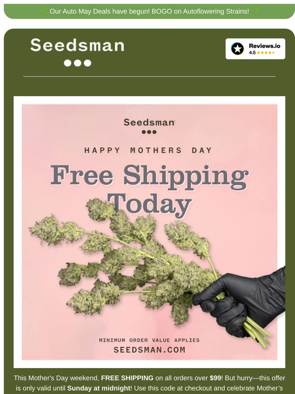 💐 FREE SHIPPING, shop while you can! 💐