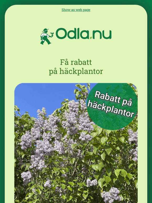 Är du redo för sommaren? 😎☀��
