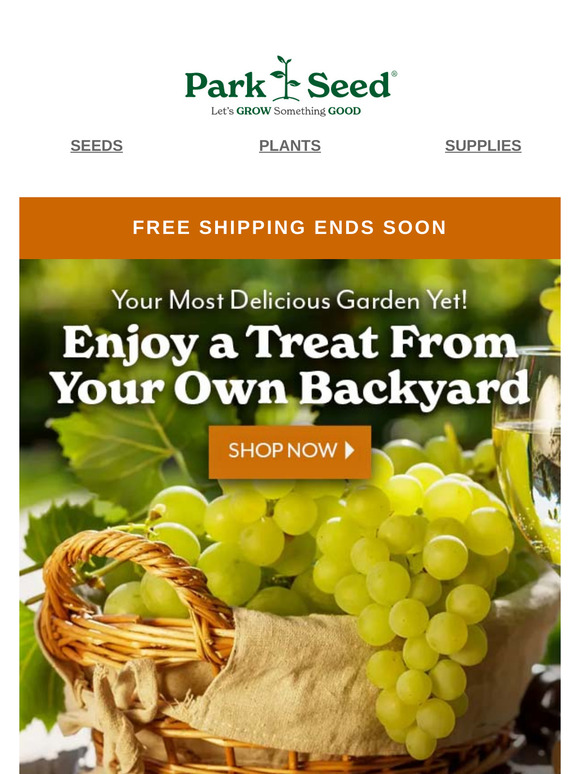 Sweet Treats to Grow in Your Backyard!