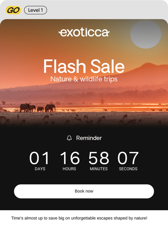 Last chance: 60% off nature & wildlife trips