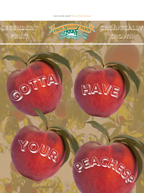 Legendary Summer Peaches! 🍑🐸 Starting Soon!
