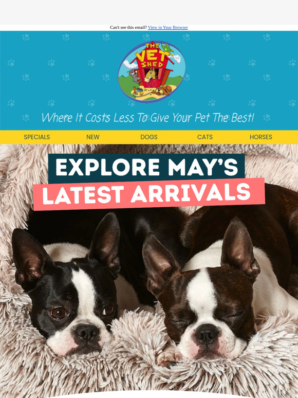 Shop the Latest Arrivals – Just In for May! 🐶🐱🐴🦜