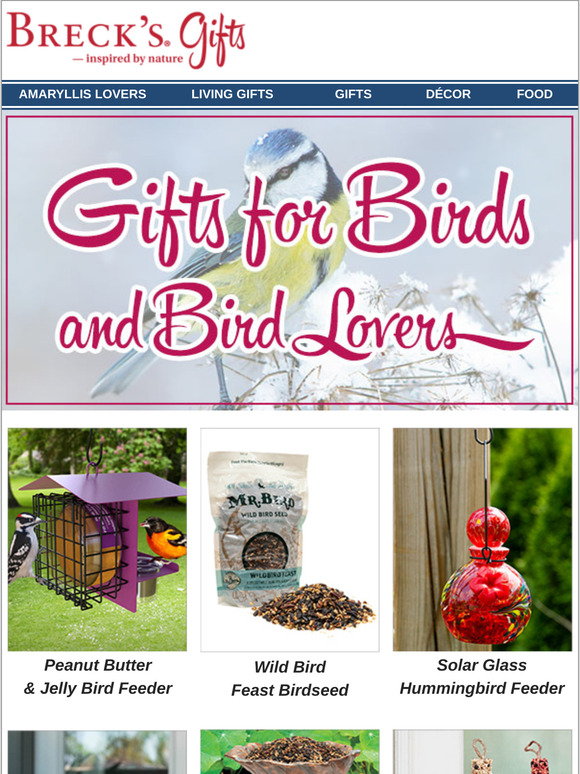 Which feeder suits your style?