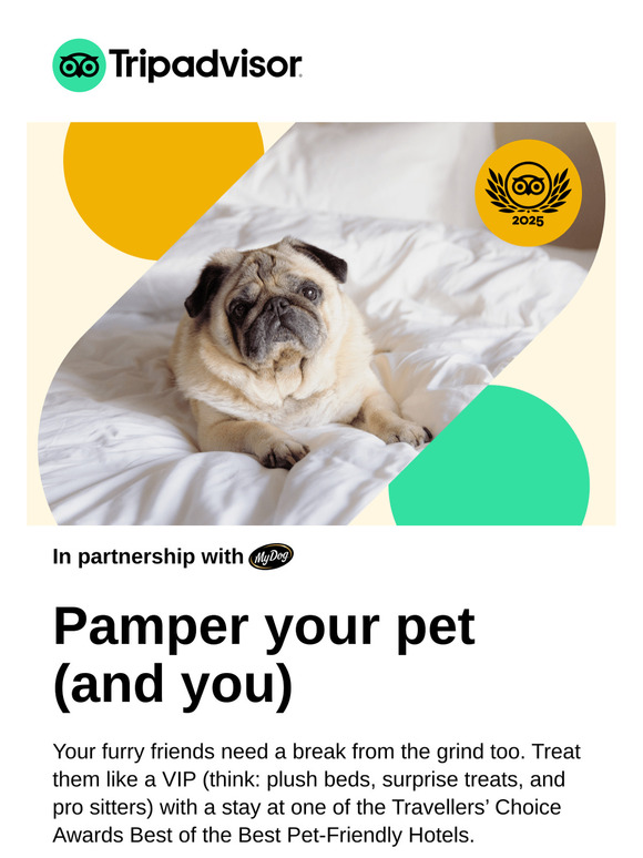 🐶 Your pet is dropping hints
