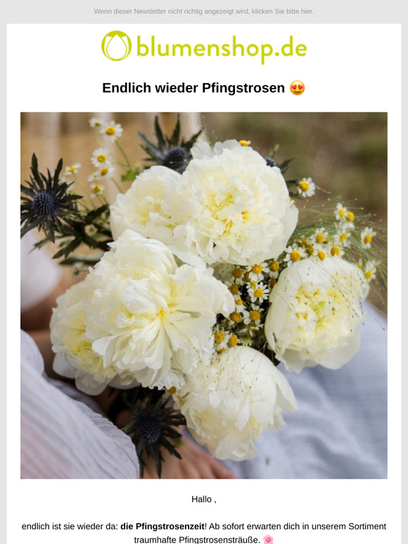 Endlich wieder Pfingstrosen, ! 🌸