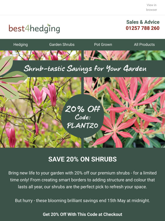 Add Some Colour To Your Garden - 20% Off Gorgeous Shrubs 💰🪴☀️