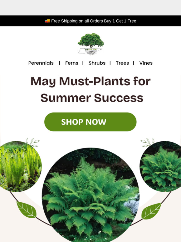 Your May Planting Checklist + Easy Wins