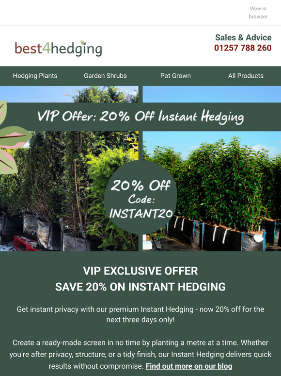 Shhh....Exclusive Offer Just For You 🚨🌿