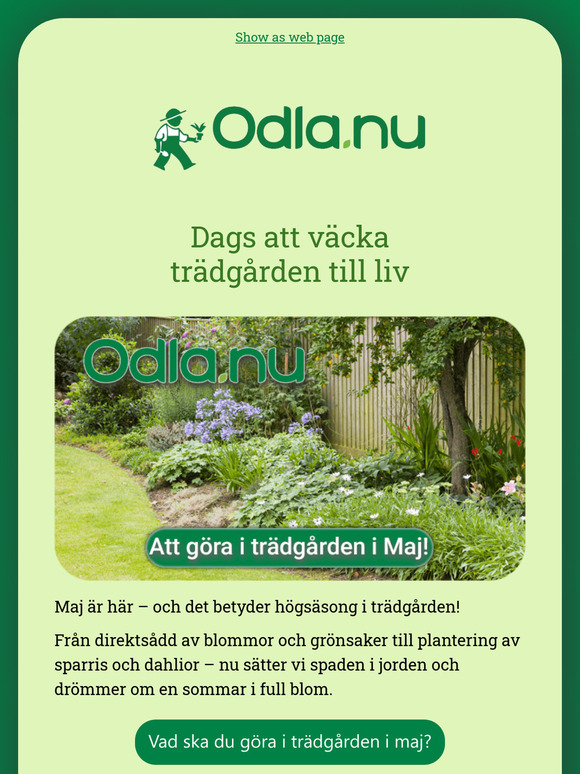 Få 20 % rabatt på barrotade perenner 🪻🏵️
