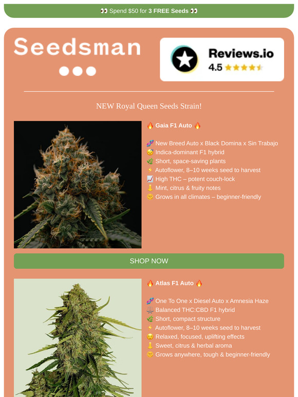 👑 JUST IN: NEW RQS Strains 👑