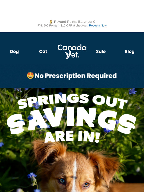 🪻 Spring’s Wrapping Up, So Are These Savings! 🌺