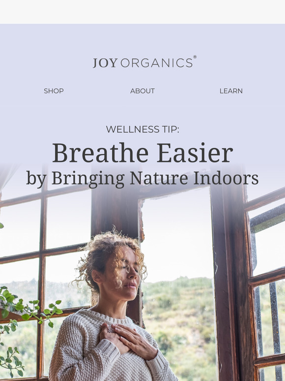 Filter Indoor Toxins, Naturally