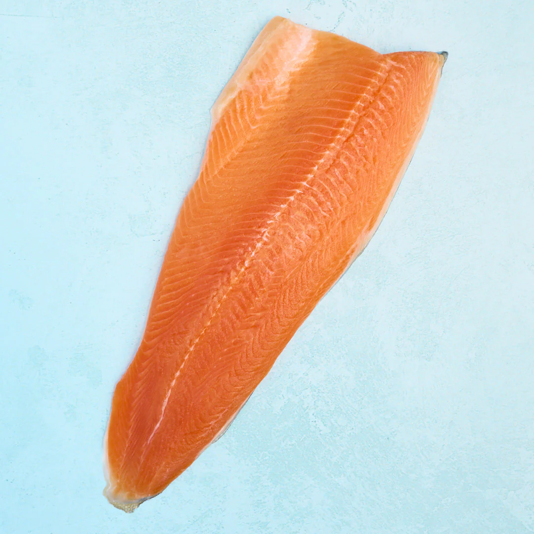 Image of Icelandic Arctic Char Fillet