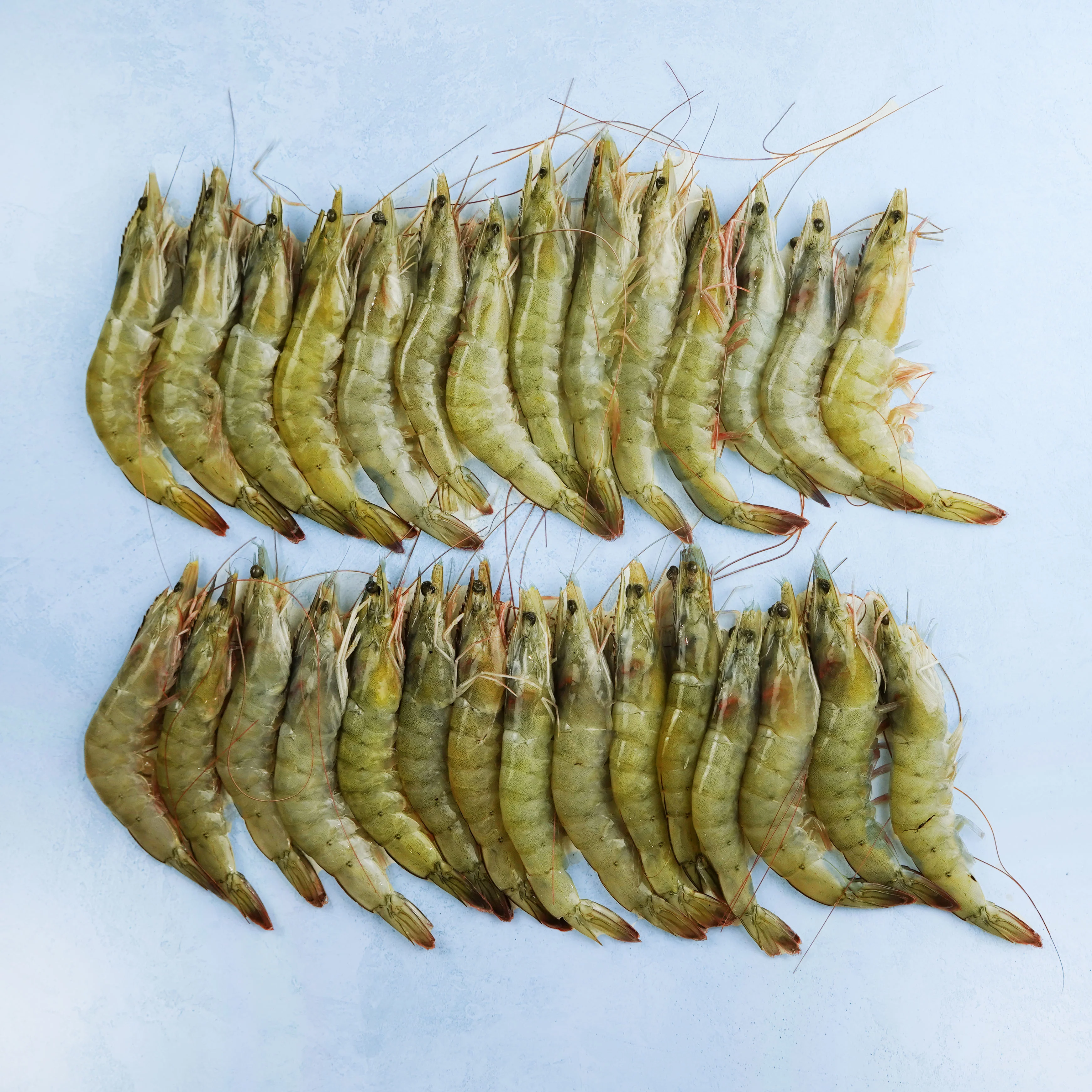 Image of Whole Raw XL King Prawns