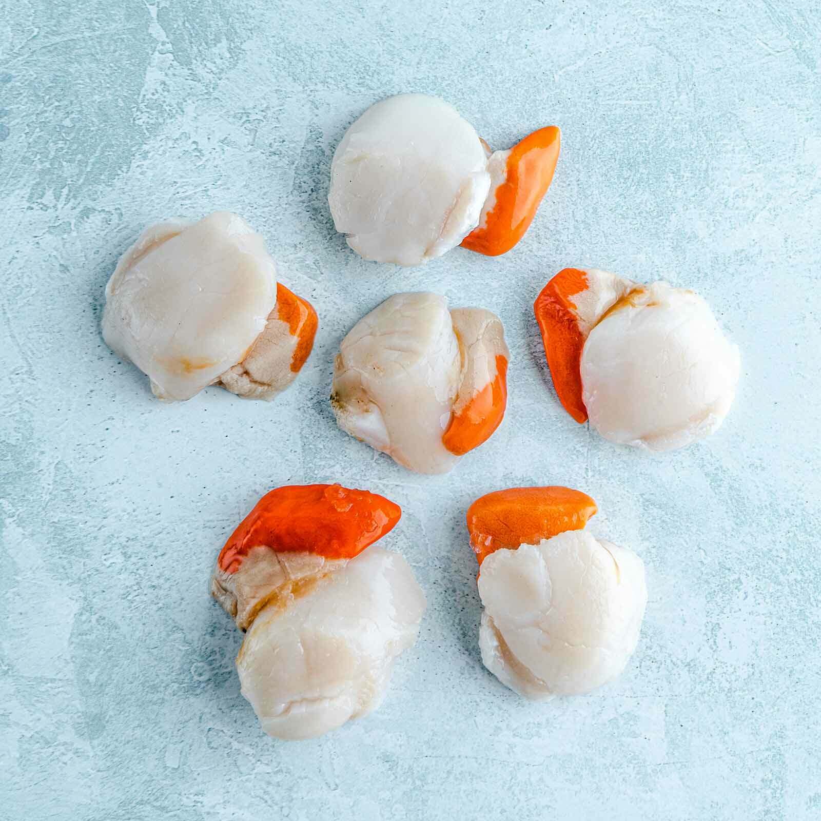 Image of Wild Scottish King Scallops - 6 scallops