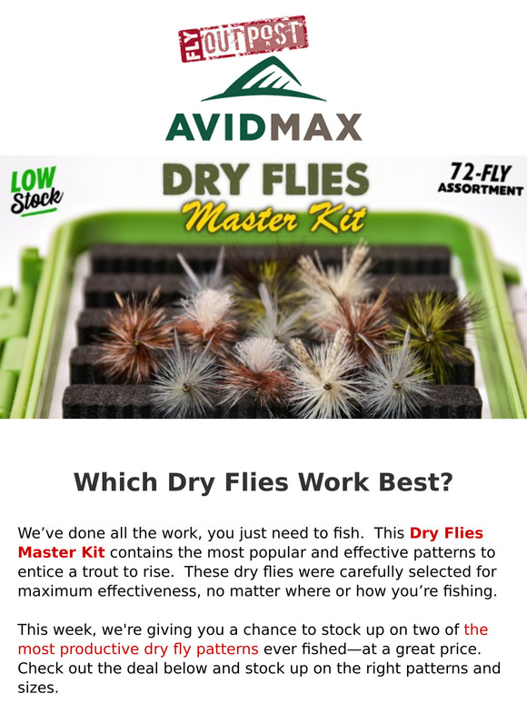 What are the best dry flies?