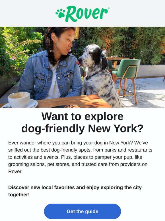 Discover dog-friendly New York