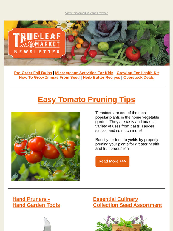 🍅 Better Tomatoes Start Here: Easy Pruning for Beginners | TLM Newsletter