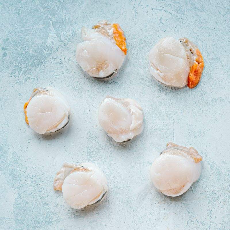 Image of Dived king scallops