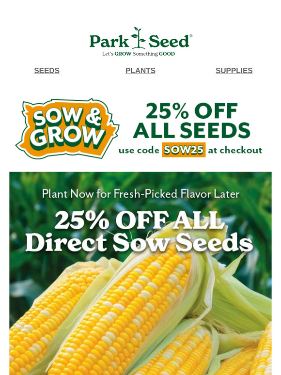 Sow & Grow These Top 6 Seeds Directly into Your Garden 🌱