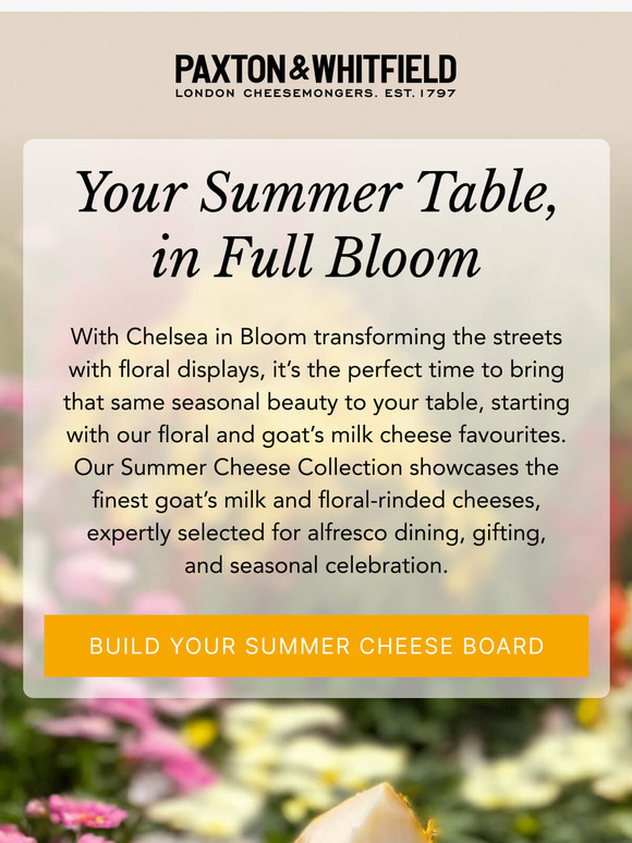 Your Summer Cheeseboard Starts Here 🧀
