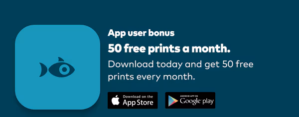 App user bonus. 50 free prints a month. Download today and get 50 free prints every month. Download on the Appstore or Google Play.
