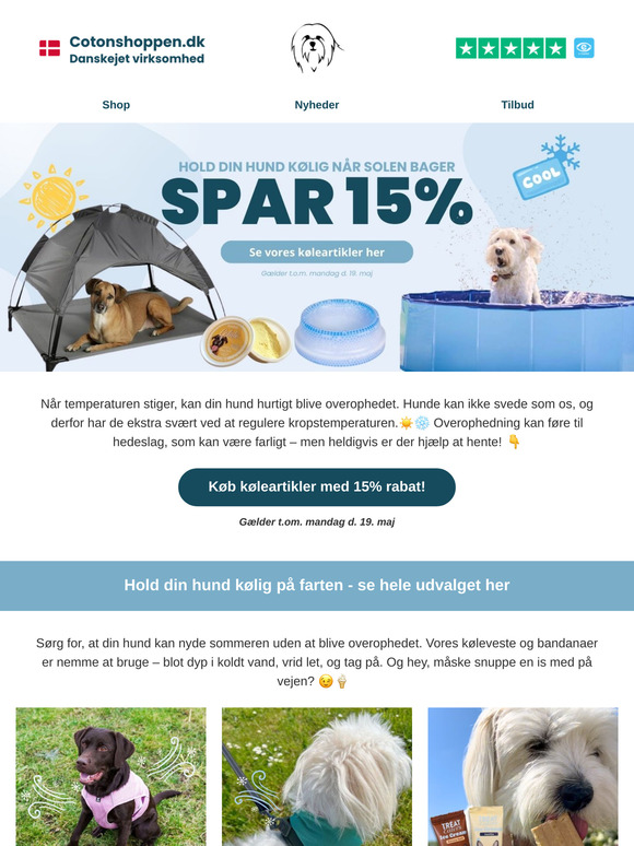Forebyg hedeslag – tips til at køle din hund