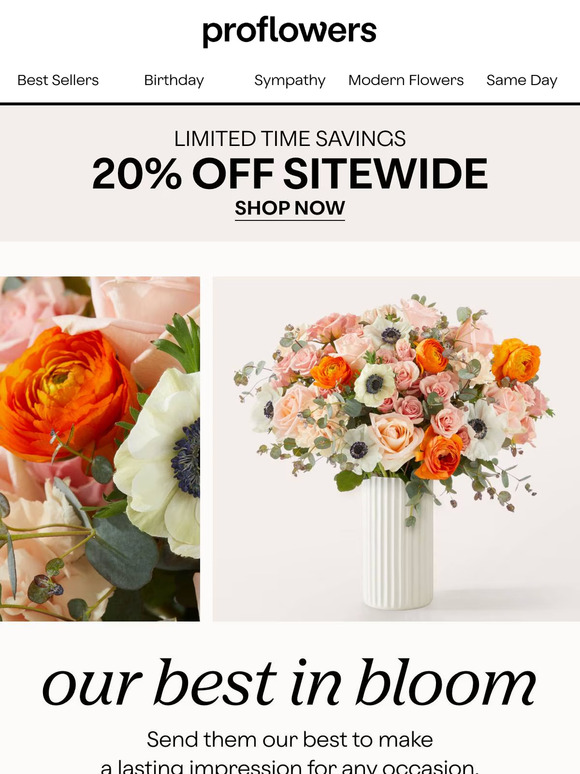 Special Occasion Blooms are HERE! Save 20% Today!
