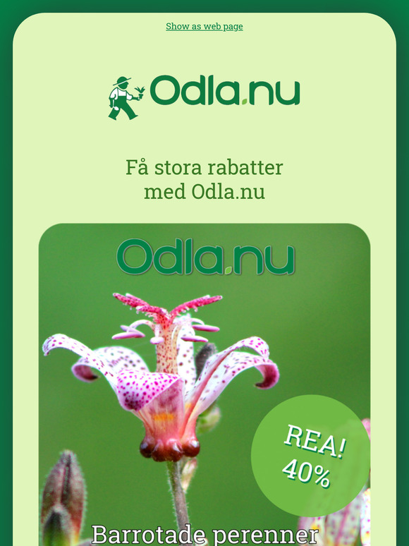 Få upp till 40 % rabatt och gör dig redo för sommaren 🤑