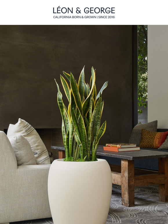 Back in Stock: Roman Vase Style Planters