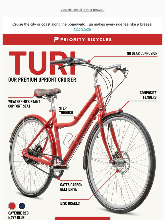 Style. Comfort. Simplicity. All in One Bicycle. 🚴‍♀️