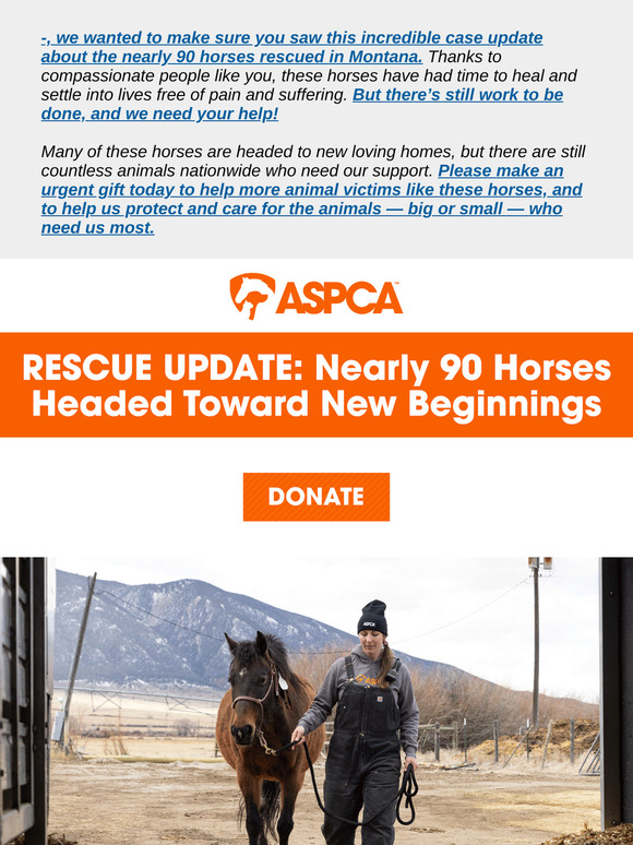 What’s Next for Nearly 90 Rescued Horses …