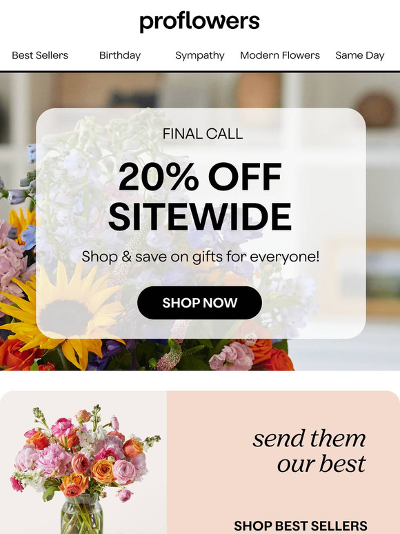Save 20% on Our Favorite Flowers & Gifts!